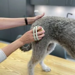 Kooa Cepillo Masajeador Para Gatos 22 Kooa Cepillo Masajeador Para Gatos -Trixie Tienda De Ventas 309896 kooa massageb rste f r katzen hs 08 8