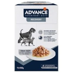 Advance Recovery Veterinary Diets Comida Húmeda Para Perros Y Gatos 9 Advance Recovery Veterinary Diets Comida Húmeda Para Perros Y Gatos -Trixie Tienda De Ventas 309899 pla affinityspain advance veterinarydiets dogrecovery hs 01 5
