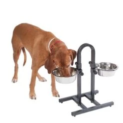 Soporte Ajustable Con Dos Comederos De 1,6 L -Trixie Tienda De Ventas 313525 u hundebar 05 dsc9197 9