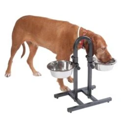 Soporte Ajustable Con Dos Comederos De 1,6 L -Trixie Tienda De Ventas 313525 u hundebar 06 dsc9199 3