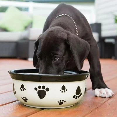 Vet's Best® Dental Refrescante De Aliento Para Perros 2 Vet's Best® Dental Refrescante De Aliento Para Perros - Imagen 2