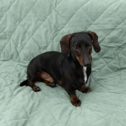 Manta Para Perros Modern Living Victoria -Trixie Tienda De Ventas 318002 decke victoria fg 6050 2