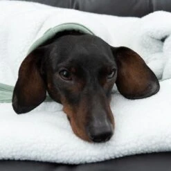 Manta Para Perros Modern Living Victoria -Trixie Tienda De Ventas 318002 decke victoria fg 6055 4