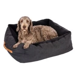 Cama Modern Living Espoo Para Perros -Trixie Tienda De Ventas 318296 mit labradoodel fg 5495 6