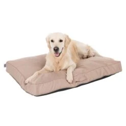 Colchón TIAKI Memory Foam Beige Para Perros -Trixie Tienda De Ventas 318698 mit hund fg 5093 8
