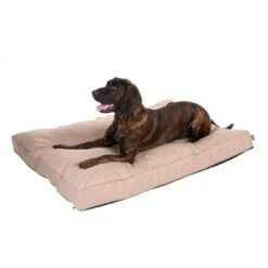Colchón TIAKI Memory Foam Beige Para Perros -Trixie Tienda De Ventas 318699 mit hund fg 5104 1