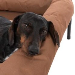 Sofá TIAKI Sun Cream Para Perros 27 Sofá TIAKI Sun Cream Para Perros -Trixie Tienda De Ventas 320897 tiaki hundesofa sun cream fg 8401 8