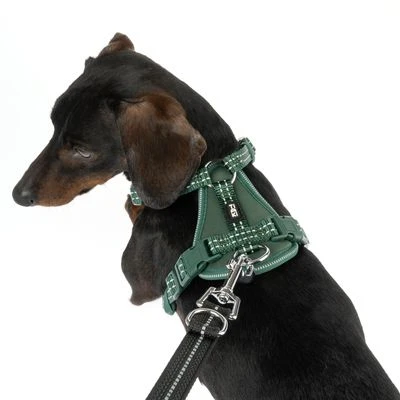 Arnés TIAKI Neoprene Verde Para Perros 10 Arnés TIAKI Neoprene Verde Para Perros - Imagen 10
