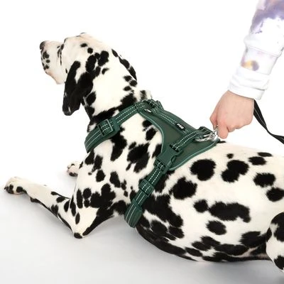 Arnés TIAKI Neoprene Verde Para Perros 13 Arnés TIAKI Neoprene Verde Para Perros - Imagen 13