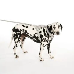 Arnés TIAKI Neoprene Gris Para Perros 25 Arnés TIAKI Neoprene Gris Para Perros -Trixie Tienda De Ventas 323033 neoprene geschirr l fg 0470 9