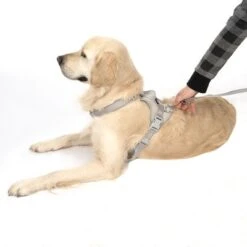 Arnés TIAKI Neoprene Gris Para Perros 18 Arnés TIAKI Neoprene Gris Para Perros -Trixie Tienda De Ventas 323033 neoprene geschirr l fg 1703 5