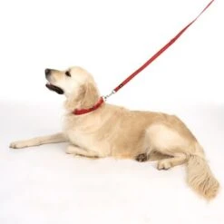 Correa Ajustable TIAKI Reflective Rubber Roja Para Perros 21 Correa Ajustable TIAKI Reflective Rubber Roja Para Perros -Trixie Tienda De Ventas 323199 soft save m fg 1630 5