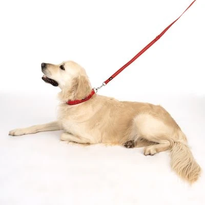 Correa Ajustable TIAKI Reflective Rubber Roja Para Perros 10 Correa Ajustable TIAKI Reflective Rubber Roja Para Perros - Imagen 10