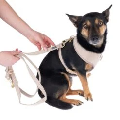 Correa Nomad Tales Calma Arena Para Perros -Trixie Tienda De Ventas 324713 calma fg 7805 1