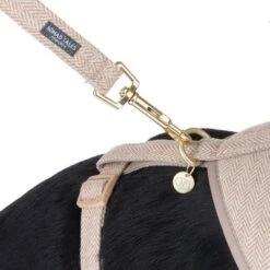 Correa Nomad Tales Calma Arena Para Perros -Trixie Tienda De Ventas 324713 calma fg 7811 0