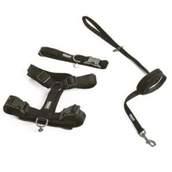 Collar Nomad Tales Blush ébano Para Perros 30 Collar Nomad Tales Blush ébano Para Perros -Trixie Tienda De Ventas 324896 324897 324703 324703 325396 325397 pla nomad tales blush halsband ebony hs 02 5