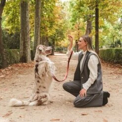 Correa Nomad Tales Blush Vino Para Perros -Trixie Tienda De Ventas 325600 325601 nomadtales blush hundeleine rose hs 07 4