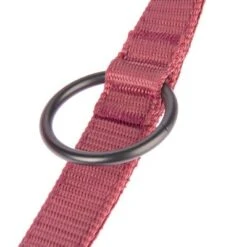 Correa Nomad Tales Blush Vino Para Perros -Trixie Tienda De Ventas 325601 nomad tales blush hundeleine rose fg 1401 7