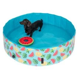 Piscina Para Perros TIAKI Con Cubierta 20 Piscina Para Perros TIAKI Con Cubierta -Trixie Tienda De Ventas 325909 schwimmende wassermelone mit ball fg 6696 3