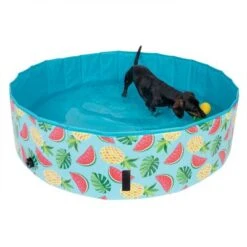 Piscina Para Perros TIAKI Con Cubierta 23 Piscina Para Perros TIAKI Con Cubierta -Trixie Tienda De Ventas 326696 floating pineapple fg 6648 6