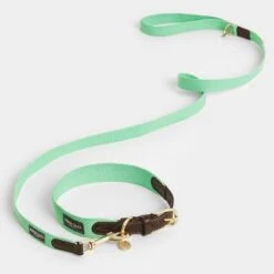 Collar Nomad Tales Bloom Menta Para Perros 22 Collar Nomad Tales Bloom Menta Para Perros -Trixie Tienda De Ventas 326798 nomad tales bloom halsband mint 04 7