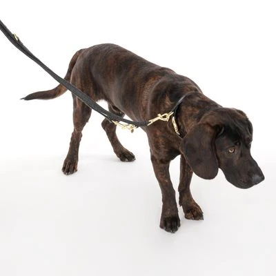 Collar Nomad Tales Calma ébano Para Perros 13 Collar Nomad Tales Calma ébano Para Perros - Imagen 13