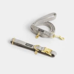 Correa Nomad Tales Calma Piedra Para Perros -Trixie Tienda De Ventas 326806 326197 nomad tales calma halsband stone 01 7 1