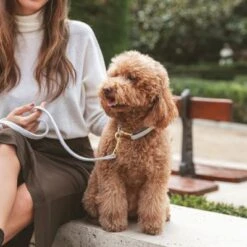 Collar Nomad Tales Calma Piedra Para Perros 16 Collar Nomad Tales Calma Piedra Para Perros -Trixie Tienda De Ventas 326806 326197 nomad tales calma halsband stone 03 5