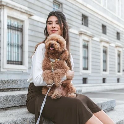 Collar Nomad Tales Calma Piedra Para Perros 11 Collar Nomad Tales Calma Piedra Para Perros - Imagen 11