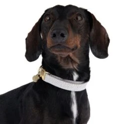 Collar Nomad Tales Calma Piedra Para Perros 18 Collar Nomad Tales Calma Piedra Para Perros -Trixie Tienda De Ventas 326807 calma m fg 7321 6