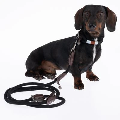 Collar Nomad Tales Spirit ébano Para Perros 13 Collar Nomad Tales Spirit ébano Para Perros - Imagen 13