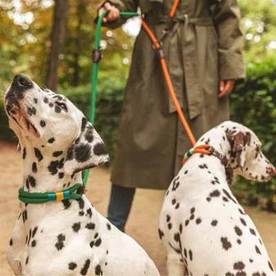 Correa Ajustable Nomad Tales Spirit Pino Para Perros 2 Correa Ajustable Nomad Tales Spirit Pino Para Perros - Imagen 2