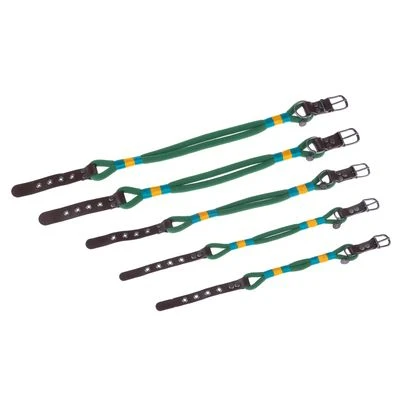 Collar Nomad Tales Spirit Pino Para Perros 14 Collar Nomad Tales Spirit Pino Para Perros - Imagen 14