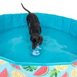 Piscina Para Perros TIAKI Con Cubierta 29 Piscina Para Perros TIAKI Con Cubierta -Trixie Tienda De Ventas 329014 tiaki seahorse fg 6664 7
