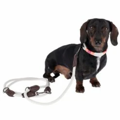 Collar Nomad Tales Spirit Piedra Para Perros 28 Collar Nomad Tales Spirit Piedra Para Perros -Trixie Tienda De Ventas 329197 329397 spirit xs fg 7690 3