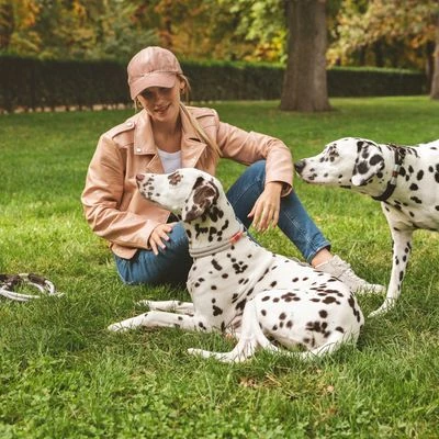 Collar Nomad Tales Spirit Piedra Para Perros 5 Collar Nomad Tales Spirit Piedra Para Perros - Imagen 5