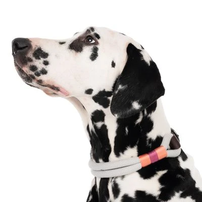 Collar Nomad Tales Spirit Piedra Para Perros 3 Collar Nomad Tales Spirit Piedra Para Perros - Imagen 3