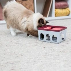 Trixie Cat Activity Rod Box Juego De Inteligencia Para Gatos 16 Trixie Cat Activity Rod Box Juego De Inteligencia Para Gatos -Trixie Tienda De Ventas 332214 trixie cat activity rod box hs 09 1