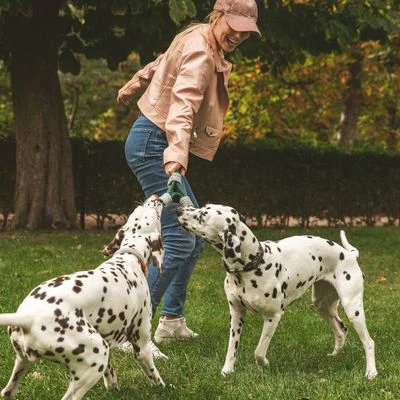 Cuerda Trébol Nomad Tales Spirit Juguete Para Perros 4 Cuerda Trébol Nomad Tales Spirit Juguete Para Perros - Imagen 4