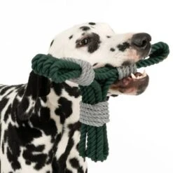 Cuerda Trébol Nomad Tales Spirit Juguete Para Perros 19 Cuerda Trébol Nomad Tales Spirit Juguete Para Perros -Trixie Tienda De Ventas 333014 spirit clover rope toy fg 0554 6