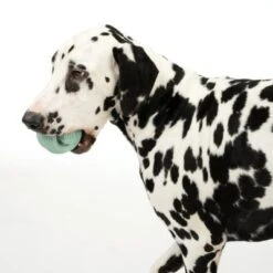 Pelota Portasnacks Nomad Tales Bloom Snack Roller Juguete Para Perros 13 Pelota Portasnacks Nomad Tales Bloom Snack Roller Juguete Para Perros -Trixie Tienda De Ventas 333015 rolling snack roll fg 0570 7