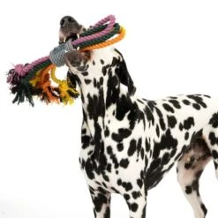 Cuerdas Varias Nomad Tales Spirit Multirope Juguete Para Perros 22 Cuerdas Varias Nomad Tales Spirit Multirope Juguete Para Perros -Trixie Tienda De Ventas 333098 spirit multirope fg 0530 3