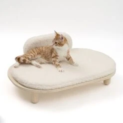 Sofá Osaka Modern Living Para Mascotas -Trixie Tienda De Ventas 342803 modern living osaka katze 0629 4