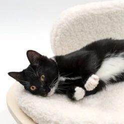 Sofá Osaka Modern Living Para Mascotas -Trixie Tienda De Ventas 342803 modern living osaka katze 0644 6