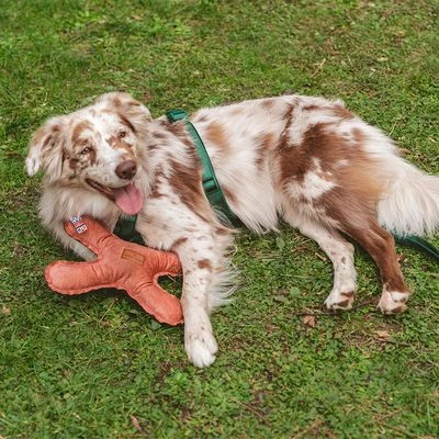 Blush Flying X Nomad Tales Juguete Para Perros 3 Blush Flying X Nomad Tales Juguete Para Perros - Imagen 3