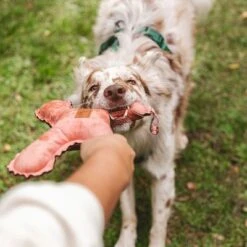 Blush Flying X Nomad Tales Juguete Para Perros 17 Blush Flying X Nomad Tales Juguete Para Perros -Trixie Tienda De Ventas 344597 nomad tales blush flyingx hs 03 2