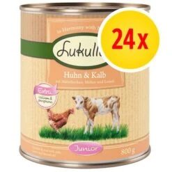 Pack Ahorro Lukullus Junior 24 X 800 G