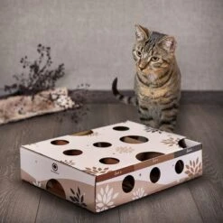 Canadian Cat Company MagicBox Juego De Inteligencia Para Gatos 29 Canadian Cat Company MagicBox Juego De Inteligencia Para Gatos -Trixie Tienda De Ventas 346599 canadiancat company intelligenzspielzeug magicbox hs 11 0