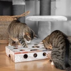 Canadian Cat Company MagicBox Juego De Inteligencia Para Gatos 19 Canadian Cat Company MagicBox Juego De Inteligencia Para Gatos -Trixie Tienda De Ventas 346599 canadiancat company intelligenzspielzeug magicbox hs 13 9