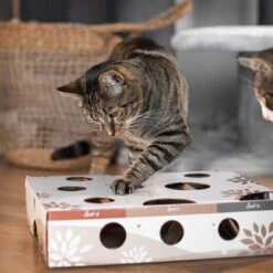 Canadian Cat Company MagicBox Juego De Inteligencia Para Gatos 28 Canadian Cat Company MagicBox Juego De Inteligencia Para Gatos -Trixie Tienda De Ventas 346599 canadiancat company intelligenzspielzeug magicbox hs 18 2